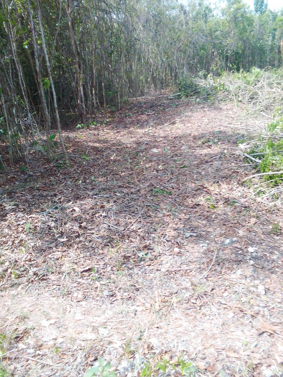 Terreno en Bacalar — miniatura 5