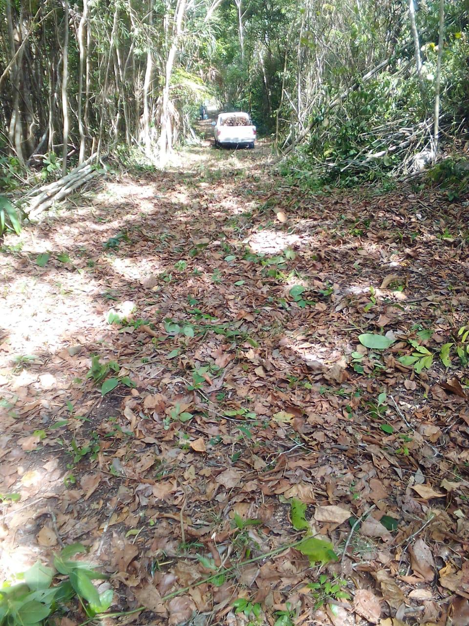 Terreno en Bacalar — miniatura 6