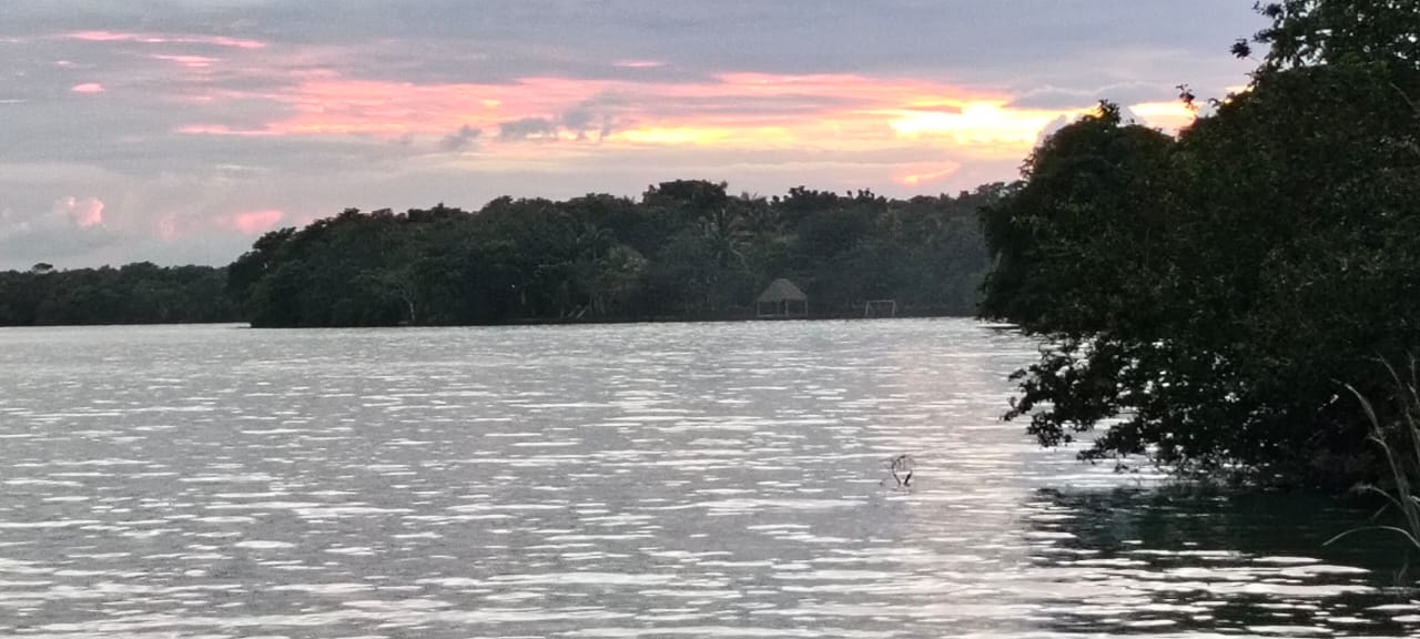 Parcela #104 | Un Terreno en el corazón del Sur de Quintana Roo