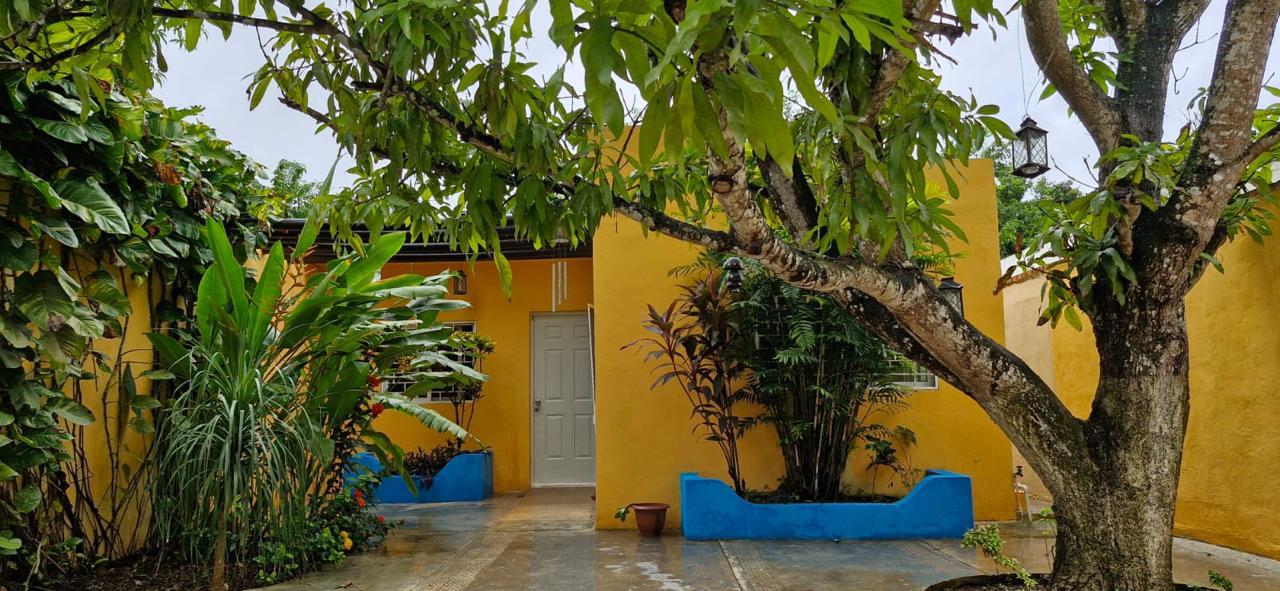 House in Benito Juarez — miniatura 1