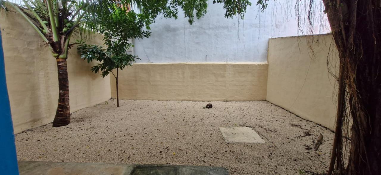 House in Benito Juarez — miniatura 3