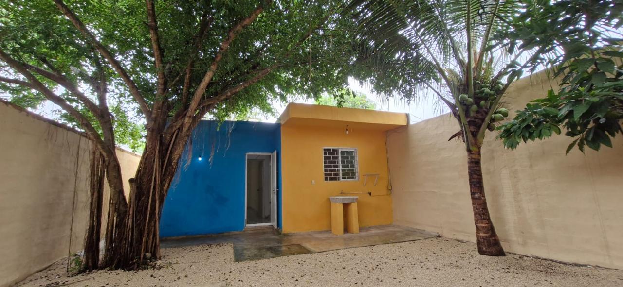 House in Benito Juarez — miniatura 2