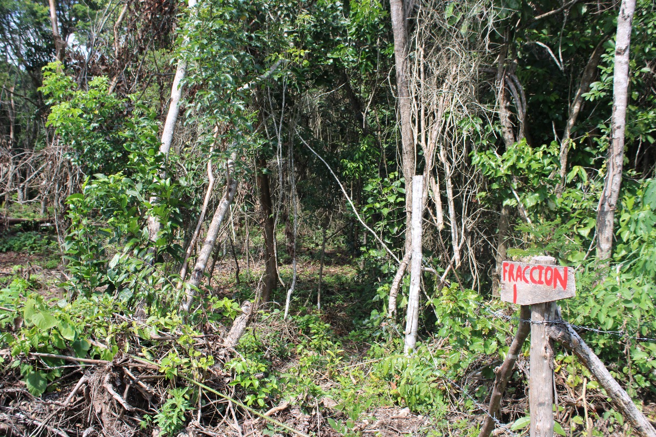 Terreno en Bacalar — miniatura 4