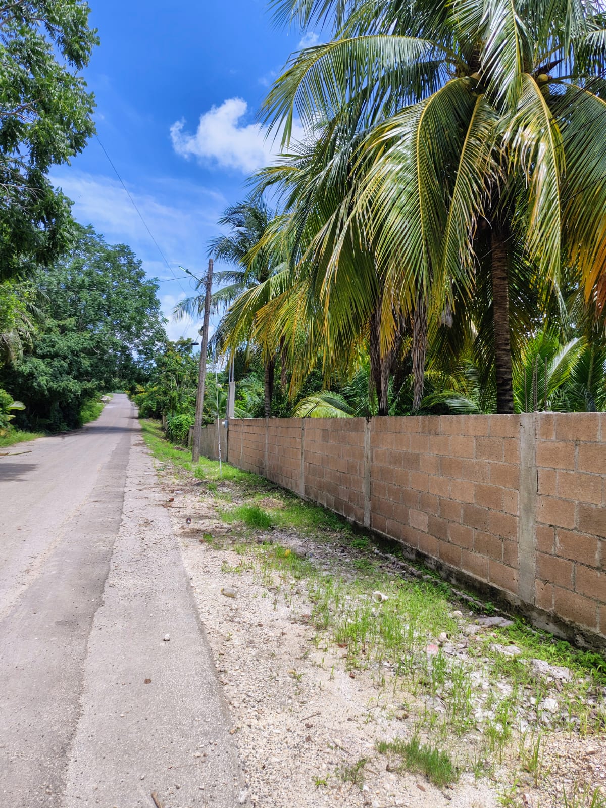 Terreno en BACALAR — miniatura 3
