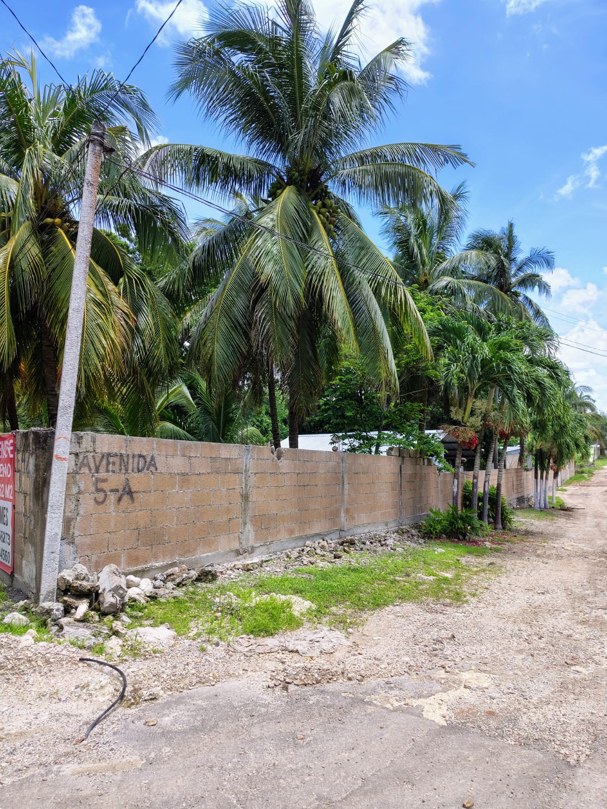 Terreno en BACALAR — miniatura 4